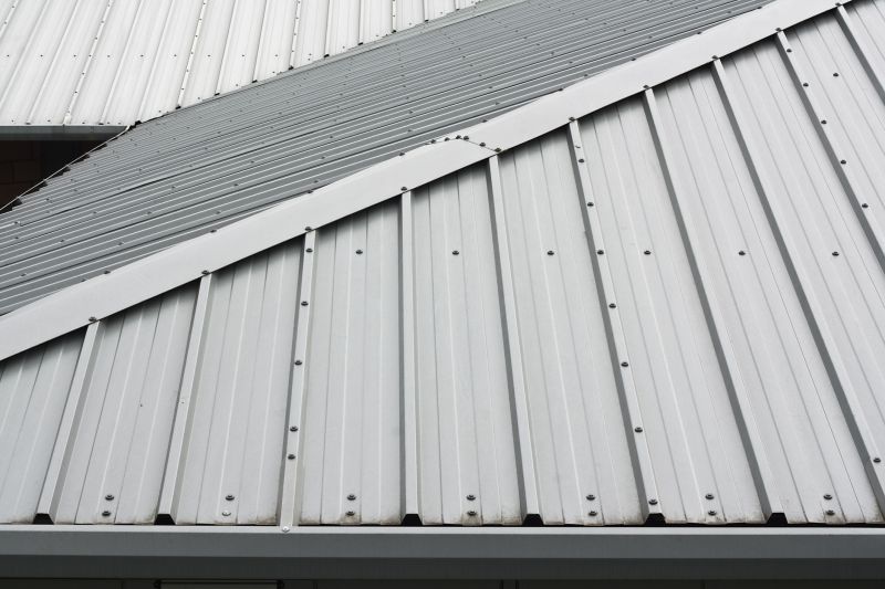 Specialized Steel Roofing Experts